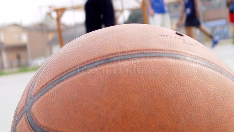 工厂绿化工程环保要求：解读与实施要点