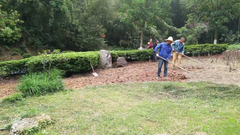 商业空间植物墙：打造绿色空间的秘密武器