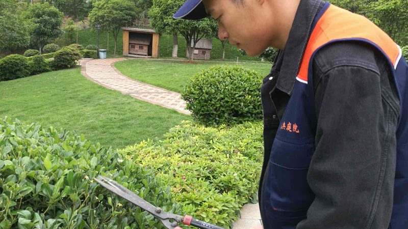 屋顶绿化每平米价格高不高