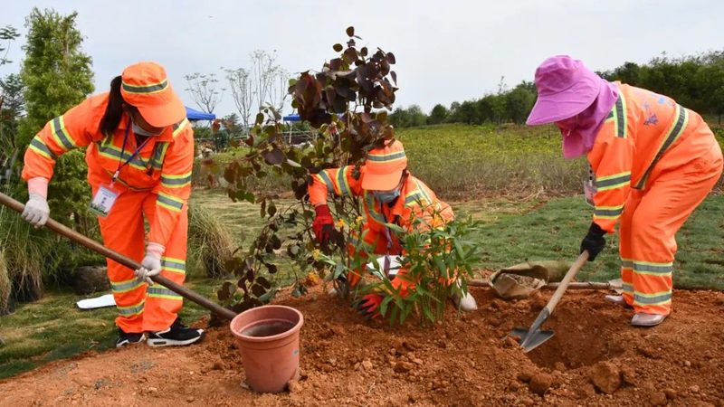 城市绿化工程验收规范：标准解读与实施要点