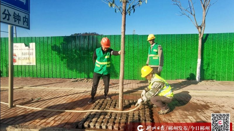 上海绿化资质代办，这些材料你准备好了吗？**