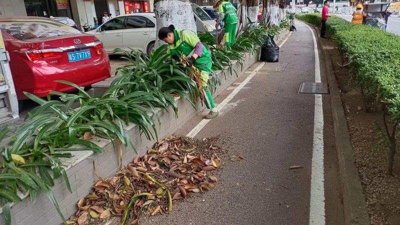 道路绿化验收规范及标准：确保绿色成果的硬性指标