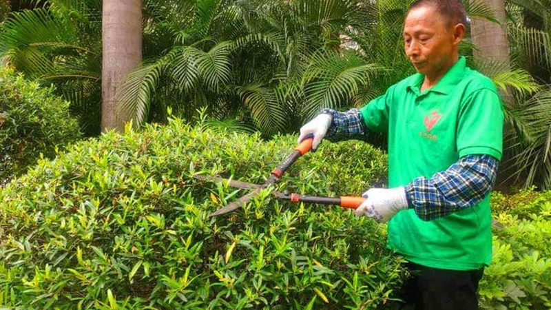 绿化资质项目规模限制：合规之路上的注意事项**