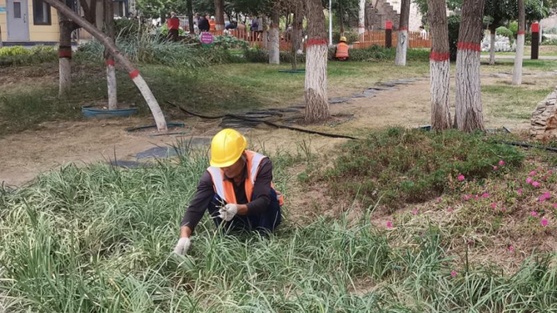 苏州庭院设计，如何挑选靠谱的设计公司？**