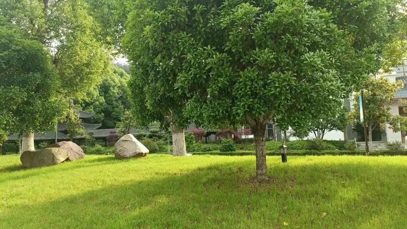 边坡绿化挂网喷播：技术解析与选择要点