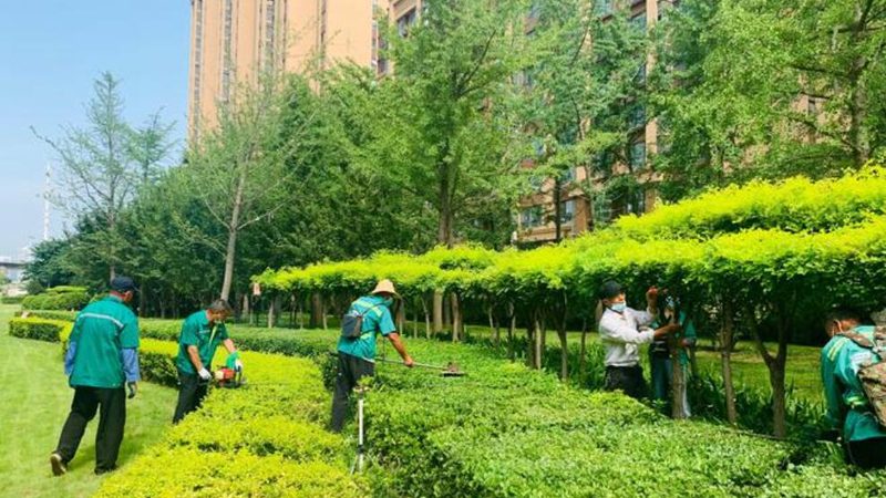 室内租摆植物，如何挑选合适的规格尺寸？**